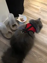 Mesh-Vest Harness Leash Walking-Lead Cat Small Dog Kitten Adjustable Puppy Nylon Mewoofun