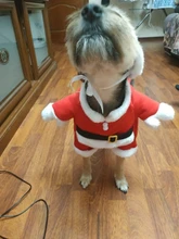 Christmas Pet Dog Cat Costumes Funny Santa Claus Costume For Dogs Cats Winter Warm Dog