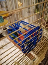 Legendog-jaula multiusos creativa para pájaros, frutas y verduras, alimentador, cesta, alimentador de loro, suministros de Alimentación de Mascotas, 1 unidad