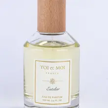 Toietmoi эстелер Парфюмированная вода от Toietmoi Женская Парфюмерная вода для женщин 100 мл 3,4 FL. OZ