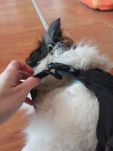 Dog-Harness Loop Dog-Molle-Vest Working Tactical with 2-Metal Buckle Hook Clip Handle