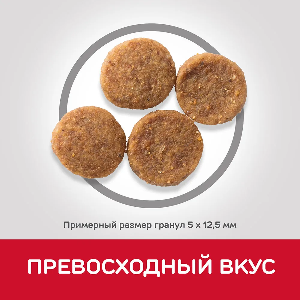 Hill's Science Plan Advanced Fitness сухой корм для собак средних пород с курицей 12 кг