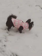 Puppy Outfit Vest Coat Dog-Jacket Pets Padded-Chihuahua Apparel-20 Small-Dogs Warm Winter