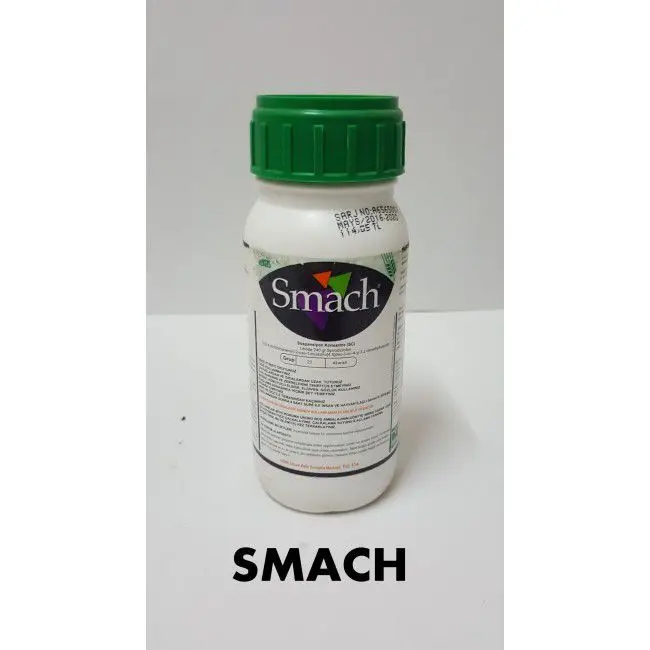 SMACH 300 мл