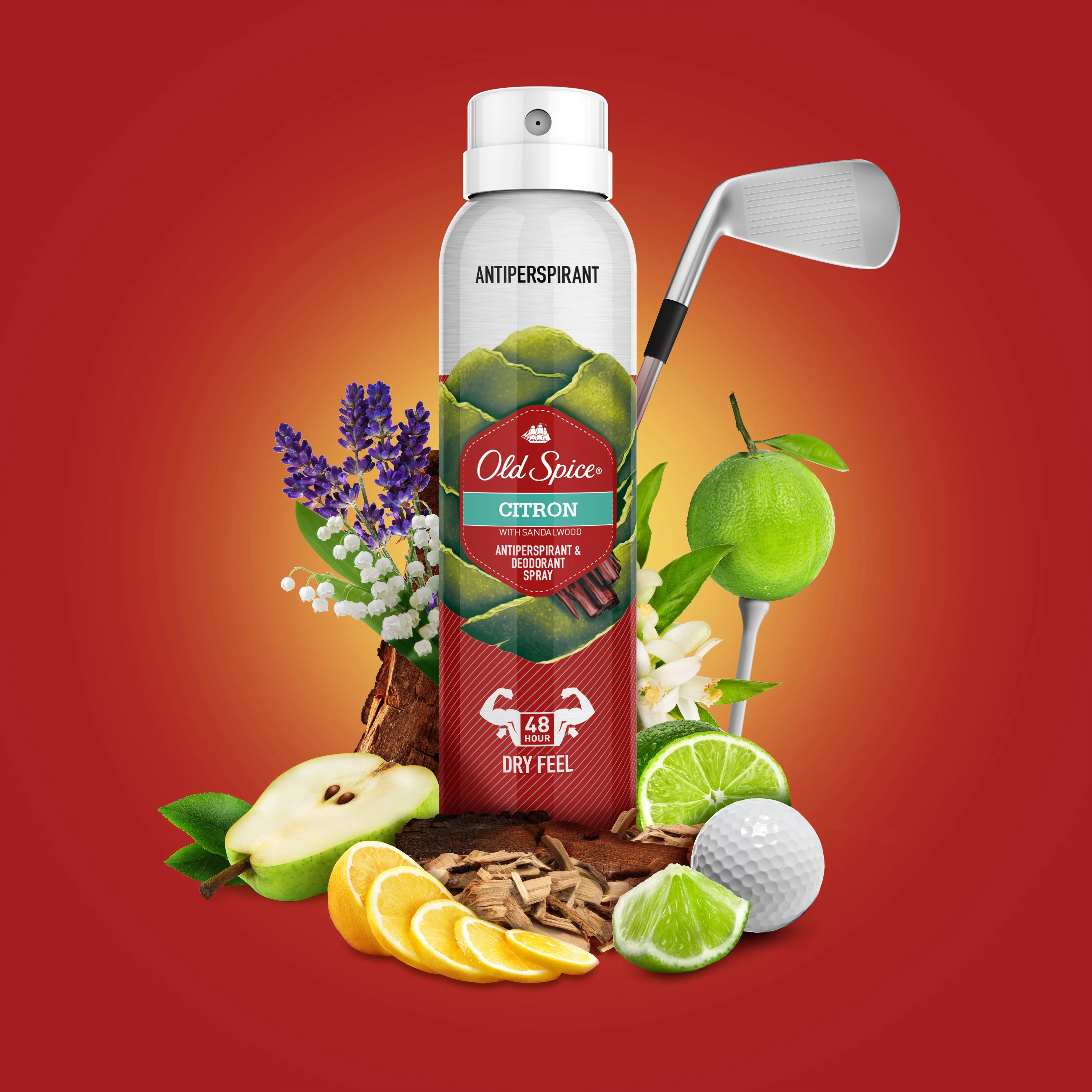Deodorante Aerosol antitraspirante Old Spice profumo naturale Citron 150  ml.|Deodorants \u0026 Antiperspirants| - AliExpress
