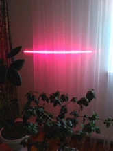 Phyto-Tape Flowers Seed-Plants Grow-Light Greenhouses Strip-0.5m USB Full-Spectrum 2835