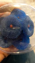 Artificial Resin Coral Sea Plant Ornament Silicone Nontoxic Blue Artificial Coral Plant