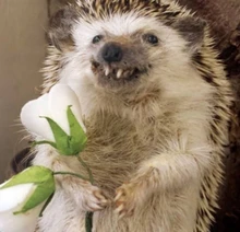 Vidrio templado para ALLDOCUBE iPlay30 iPlay20 iPlay10 iPlay8 Pro iWork iPlay 30 20 10 8T 8T 7 M8 M5 X Neo XNeo Protector de pantalla