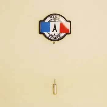 

Brooch on lapel Paris 50918 (multi-colored, needle, jewelery alloy)