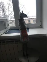 Cute Cat Sweater Pullover Winter Warm Pet Clothes for Cats Kedi Kitten Sweatshirt Cat