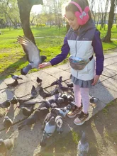 2019 riñoneras bolsas de cintura holográfica para mujer, riñonera de plata rosa, bolsa de cinturón para mujer, bolsa para teléfono con pecho láser y cintura geométrica negra los hombres