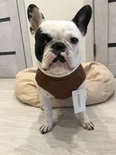 Jacket Vest Puppy-Clothing Pug-Coat Small Dogs Chihuahua Waterproof Winter Teddy Pet-Dog