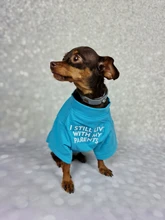 Letras de moda impreso Bulldog francés Camisa de algodón elástico ropa de perro mascota para Yorkshire Chihuahua verano bombero esposa camiseta bombero novia fuego emblema bombero Don bombero Cruz de traje