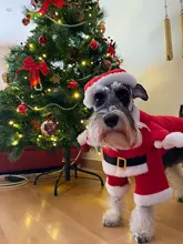 Christmas Pet Dog Cat Costumes Funny Santa Claus Costume For Dogs Cats Winter Warm Dog