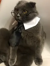 Glasses Props-Accessories Pet-Products Pet-Supplies Photos Cat Little Toy for Dog Eye-Wear