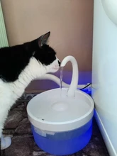 Fuente de Gato de 2L con luz azul, dispensador de agua automático alimentado por USB, alimentador de gatos, filtro de bebida para gatos y perros, proveedor de mascotas
