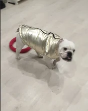 Coat Jacket Vest Bulldog-Clothing Puppy Dogs-Chihuahua French Waterproof Large Winter