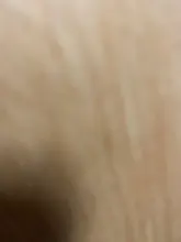 Bridge Platform-Diy-Assembly Amphibious Tortoise Coconut-Tree Turtle Brazil Reptile-Drying