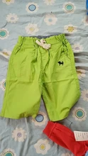 Pantalones cortos informales para niños y niñas, ropa de verano con cinco puntos, bordado de perro, venta al por mayor, 2020