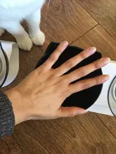 Cat-Bowls Products Pet-Food Raised-Stand Pet-Supplies Cats-Dogs-Feeders Non-Slip Double