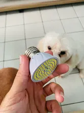 GU10 E27 Led-Lamp Bombillas Led-Spotlight E14 MR16 220V 10pcs/Lot 2835 SMD 240V 48 60-80