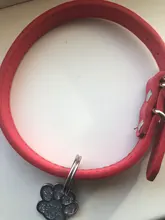 Pet-Dog-Accessories 7-Color High-Quality Adjustable Comfortable