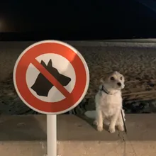 J***5