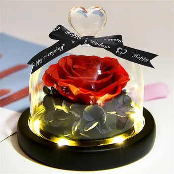 

Mother Day Present Eternal Real Rose Beauty And The Beast Preserved Valentines Exclusive In Glass Home Birthday Gift