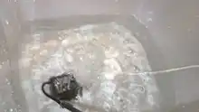 Mini bomba de agua sumergible, 5V, 4,8 W, ultrasilenciosa, sin escobillas, resistente al agua, circulador para acuario, 300L/H, 5W