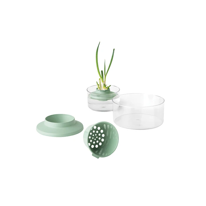 Herbs and Vegetables Regrow Kit, TASTY+ - Dark Grey - 8710755124402 Brabantia_96dpi_1181x787px_E_NR-15476