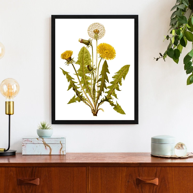 Botanical Illustration Canvas Art Print