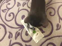 Pulsera de nailon trenzado para xiaomi Mi band 5, pulsera de nailon para xiaomi Mi band 4, 3 y 6