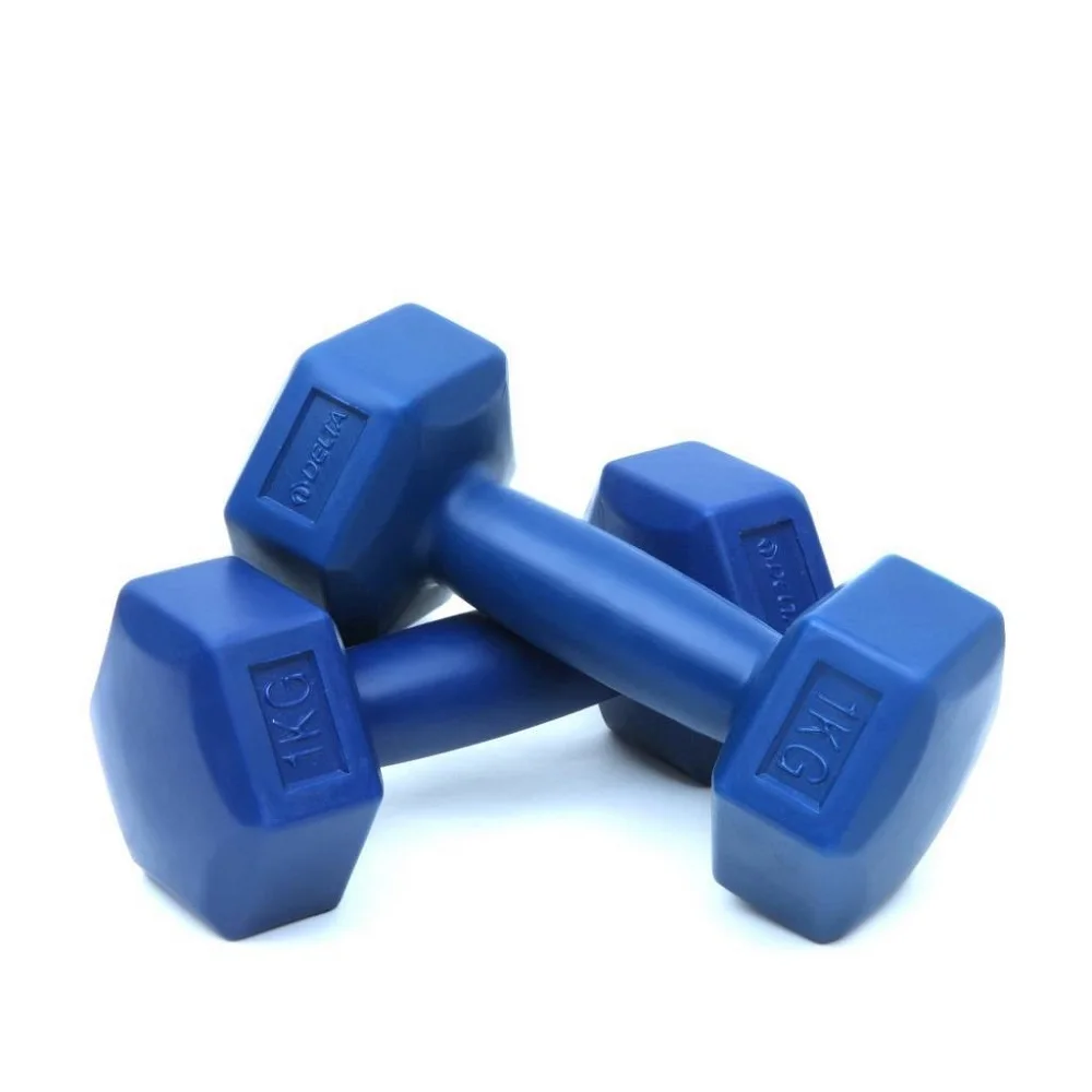 delta-1-kg-x-2-adet-koseli-mavi-plastik-dambil