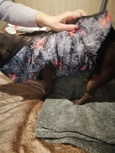 Puppy Vest Coat Clothing Jacket Dogs Chihuahua Waterproof Large Winter Medium Pet-Dog