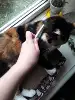 Изображение товара 2