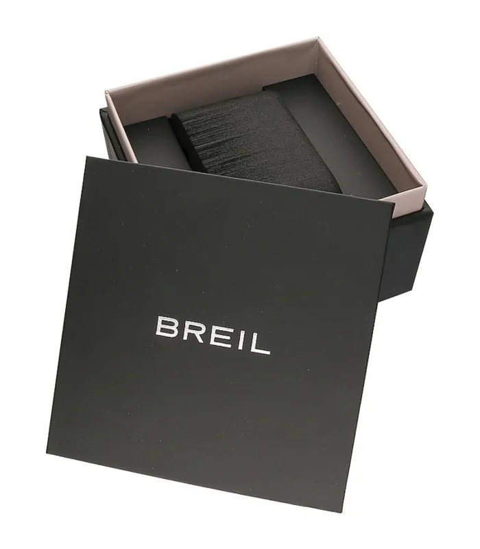 Кварцевые Стальные часы BREIL EW0312
