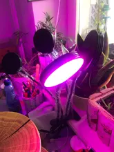 Grow-Light Lamps Timer Flowers Desktop-Clip LED Phyto Full-Spectrum For Plants DC5V USB