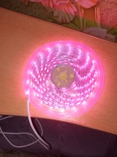 USB Phytolamps for Plants 5V LED Grow Light Strip 2835 Chip 1m 2m 3m LED Phyto Tape 