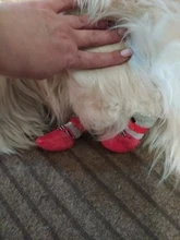 4 unids/set de algodón lindo caucho zapatos para perros impermeable antideslizante perro lluvia botas de nieve calcetines para perros grandes pequeños perros, gatos,