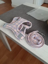 Vest Necklace Harnesses Leash-Set Lead Puppy-Kitten-Collars Dog Pug Adjustable Chihuahua