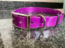 Collar para perro desodorante y resistente al agua de TPU y nailon, fácil limpieza, de alta calidad, suministros para mascotas, 7 colores, de moda