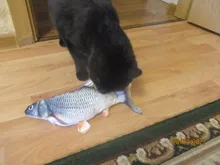 Usb-Charger Fish-Cat-Toy Chew Moving Funny Electric Kitten-Plaything-Supplies Bite Simulation-Wagging