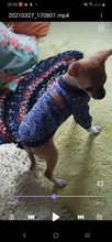 Clothing Sweater Small-Dog-Jersey Poodle Chihuahua Winter Dogs for Pet-Cats Warm Autumn