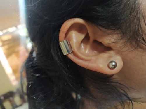 Clip De Oreja De Dragón Para Mujer Y Hombre Pendientes Bouclé Oreille De  Plata