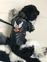 Jacket Dog-Coat Puppy Eagle-Pattern Waterproof Outdoor Outerwear Pet Small Soft Fashion