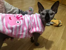 Jacket Outfits Dog Coat Pug-Costume Small Dogs Soft Chihuahua Cartoon Fleece Winter Warm