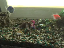 Desk-Decoration-Accessories Mermaid-Ornament Aquarium Fish-Tank Cute 1pcs Little