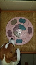 Disc-Board Dog-Toy Puzzle Food-Bowl Slow Pet-Training Funny Eat Leaking Biting