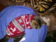 Pet Cat Reindeer Sweater Winter Warm Cat Clothes for Cats Kedi Outfit katten Clothing