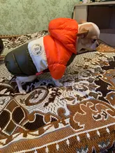 Outfit Jacket Hoodie Dog Warm Waterproof Winter Coat Splice Pet-Puppy 6-Colours 8-Sizes